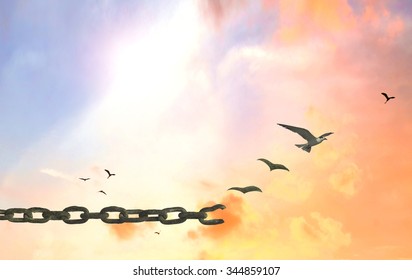 International day for the remembrance of the slave trade and its abolition concept: Silhouette of bird flying and broken chains against autumn sunset sky background