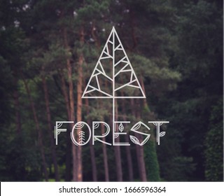 International Forest Day. Spruce logo. Lettering forest. Ethnic font. Blurred nature background. - Powered by Shutterstock