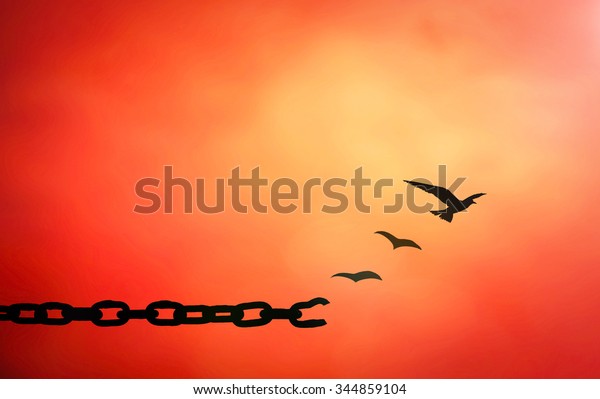 国際人権デーのコンセプト 日没の空の背景に鳥の飛ぶ鎖と折れたチェーンのシルエット のイラスト素材