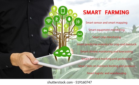 Internet Of Things(agriculture Concept) Icon Of Smart Farming,the Man Hold The Taplet With Smart Farm Concept