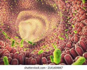 Intestinal bacteria 3d illustration. Gut microbiome helps control intestinal digestion and the immune system. Probiotics are beneficial bacteria used to help the growth of healthy gut flora