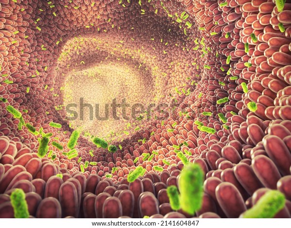 Intestinal\
bacteria 3d illustration. Gut microbiome helps control intestinal\
digestion and the immune system. Probiotics are beneficial bacteria\
used to help the growth of healthy gut\
flora