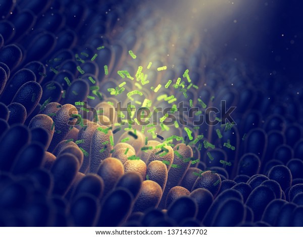 Intestinal\
bacteria, Gut flora health, 3d\
illustration