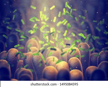 Intestinal bacteria, Gut microbiome helps control intestinal digestion and the immune system, Probiotics are beneficial bacteria used to help the growth of healthy gut flora, 3d illustration