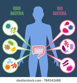 Intestinal Flora Gut Health Concept With Bacteria And Probiotics Icons. Human Flora Good And Bad Microorganism Illustration