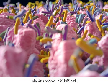 Intestinal Villi. Small Finger-like Projections That Extend Into The Lumen Of The Small Intestine. Gut Bacteria, Flora, Microbiome. 3d Illustration.