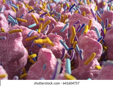 Intestinal Villi. Small Finger-like Projections That Extend Into The Lumen Of The Small Intestine. Gut Bacteria, Flora, Microbiome. 3d Illustration.