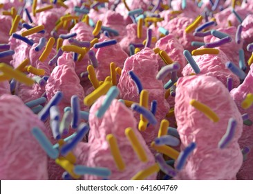 Intestinal Villi. Small Finger-like Projections That Extend Into The Lumen Of The Small Intestine. Gut Bacteria, Flora, Microbiome. 3d Illustration.