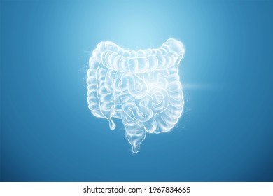 Intestines hologram on a blue background. Constipation concept, bowel disorder, body scan, digital x-ray, abdominal organs. 3D illustration, 3D render
