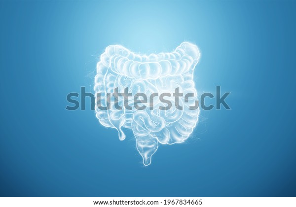 Intestines hologram on a blue\
background. Constipation concept, bowel disorder, body scan,\
digital x-ray, abdominal organs. 3D illustration, 3D\
render