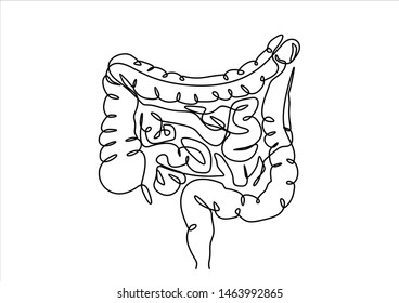 243 Sketch large intestine Images, Stock Photos & Vectors | Shutterstock