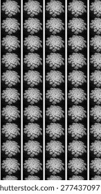 Intricate Black And White Macro Pattern Of Delicate White Queen Annes Lace Flower Umbel Clusters Against A Dark Moody Background Ideal For Floral Designs And Natural Textures