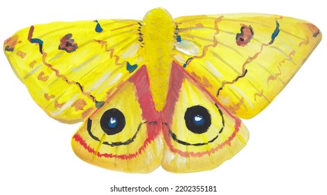 Io Moth Gouache Illustration Hand Painted Artwork Isolated On White Background