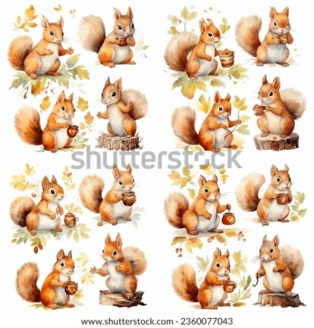 ipart watercolor squirrels in different poses with nuts