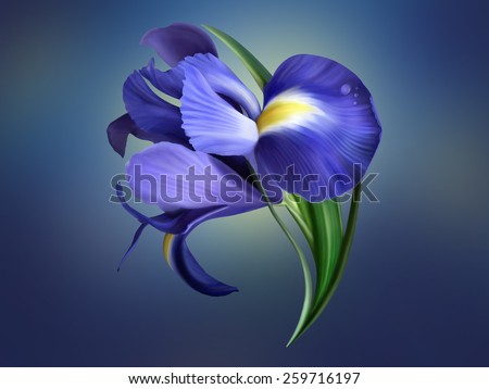 Similar – crocus Nature Plant Spring