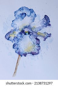 10,150 Paintings of irises Images, Stock Photos & Vectors | Shutterstock