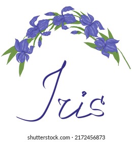 Iris Flowers Decorative Art Work With Lettering