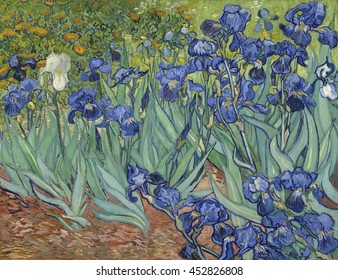 Irises, by Vincent van Gogh, 1889, Dutch Post-Impressionist painting, oil on canvas. Van Gogh painted this in the garden of the asylum in Saint-Remy, France in May 1889. The cropped composition was l
