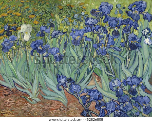 Irises, by Vincent van Gogh, 1889, Dutch Post-Impressionist painting, oil on canvas. Van Gogh painted this in the garden of the asylum in Saint-Remy, France in May 1889. 