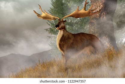 An Irish Elk, A Breed Of Extinct Pleistocene Deer, Stands In Tall Grass On A Hillside.  The Scientific Name For It Is Megaloceros. 3D Rendering
