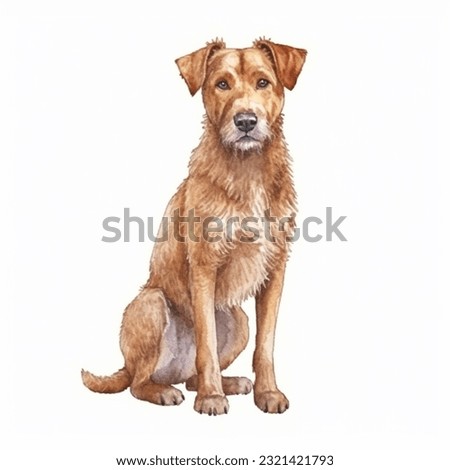 IRISH TERRIER watercolor portrait painting illustrated dog puppy isolated on transparent white background
