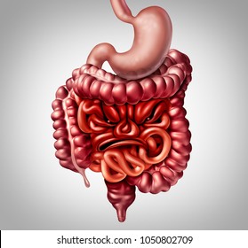 Irritable Bowel Syndrome Diagnosis And Symptoms Of Intestine And Colon Inflammation Pain As Intestines Shaped As An Angry Face With 3D Illustration Elements.