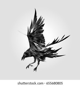 Isolated Art Of The Attacking Bird Raven