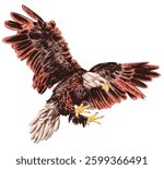 Isolated Bald Eagle In Flight