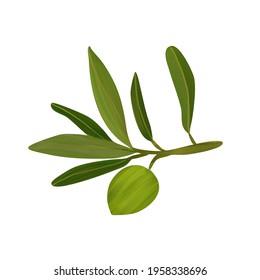 Isolated Bitmap Branch Olive Tree Color Stock Illustration 1958338696 ...
