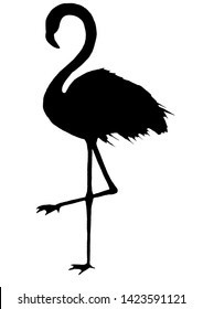 Isolated black silhouette of flamingo on the one leg.