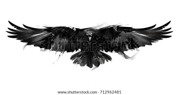 飛ぶ鳥のカラスの前面の白黒のイラスト のイラスト素材 712962481
