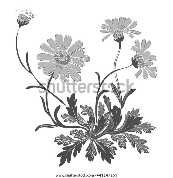 Isolated Blooming Meadow Flower Form Print のイラスト素材