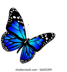 Isolated Butterfly Blue Color On White Stock Illustration 56455399 ...