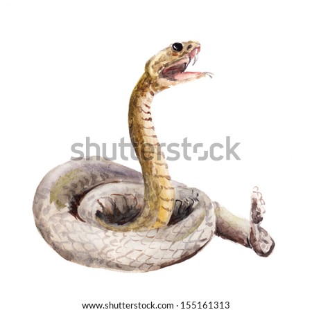 Isolated cascabel snake