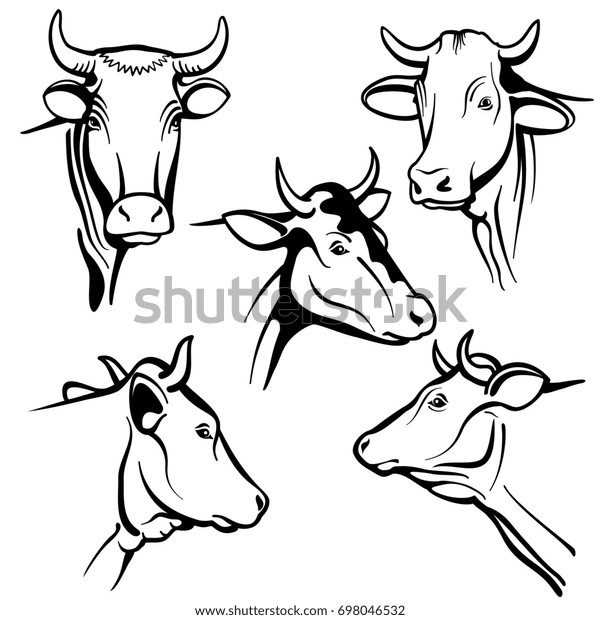 Isolated Cow Head Portraits Cattle Faces のイラスト素材