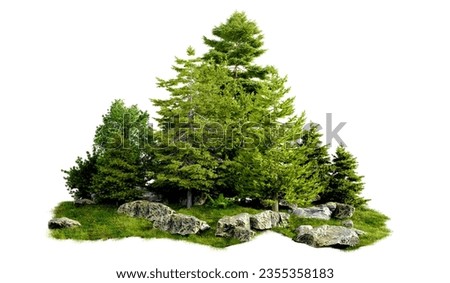 isolated cut out small forest and tree group on hill on white background with clipping path
