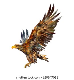 Isolated drawing of a flying eagle on the side