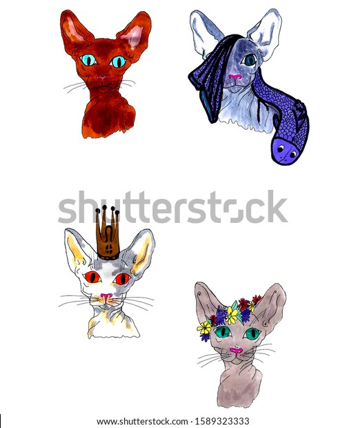 Isolated drawings of bright cartoon sphynx cats. Cat with fish, sphinx