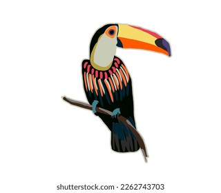 Isolated elements  toucans