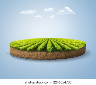 Isolated farm with crops on cutaway piece of land, isolated with clouds. Empty green farm 3D illustration, isometric farmland. - Powered by Shutterstock