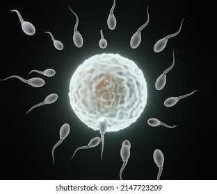 Isolated fertilization sperm cell to egg cell 3d rendering