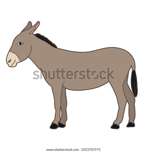 Isolated Gray Donkey Standing On White Stock Illustration 1023701971