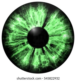 Isolated Green Eye Illustration Green Stripped Stock Illustration 545822935