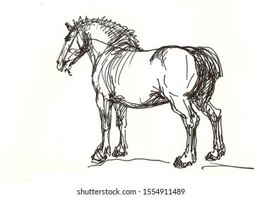 2,643 Horse pen drawing Images, Stock Photos & Vectors | Shutterstock