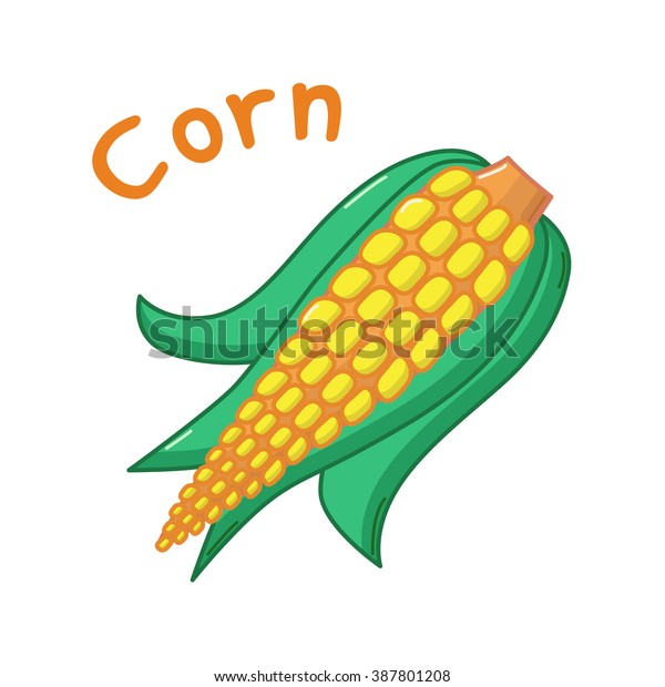 Isolated Icon Raw Corn Name Stock Illustration 387801208