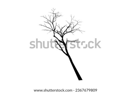 Isolated image of dry tree silhouette on white background.