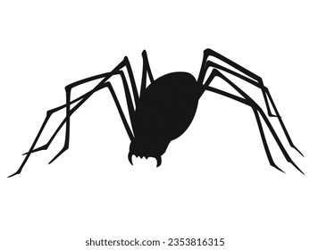 Isolated image of a large spider on a png file at transparent background. Royalty high-quality free stock photo image of black silhouette of tarantula spider. Dangerous insect