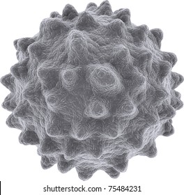 isolated microscopic image of white blood cell