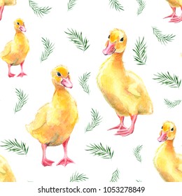 Isolated On White Background Cute Watercolor Duck Seamless Pattern. Baby Ducklings. Design Collection For Textiles, Wrapping Paper, Wallpaper, Greeting Card, Background.