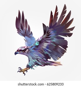 Isolated painted flying bird hawk
